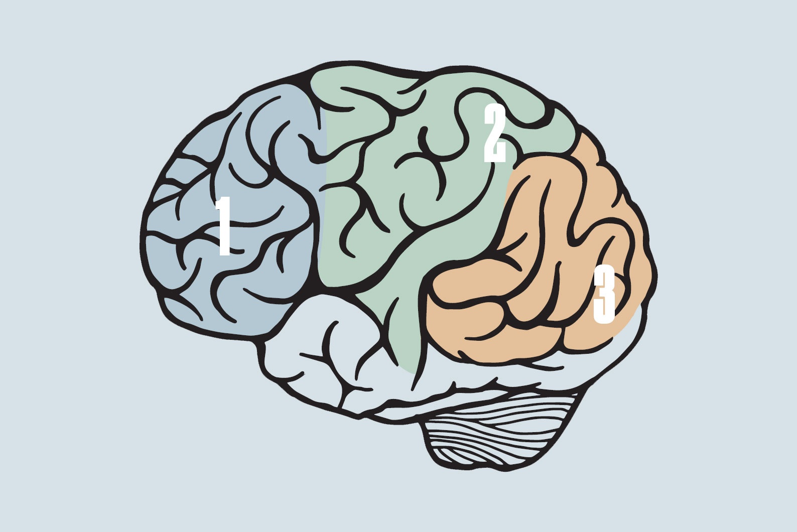 Magazine illustration, containing a brain and titled PTSD and the Brain